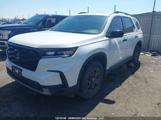5FNYG1H6XPB501244 Honda Pilot Trailsport