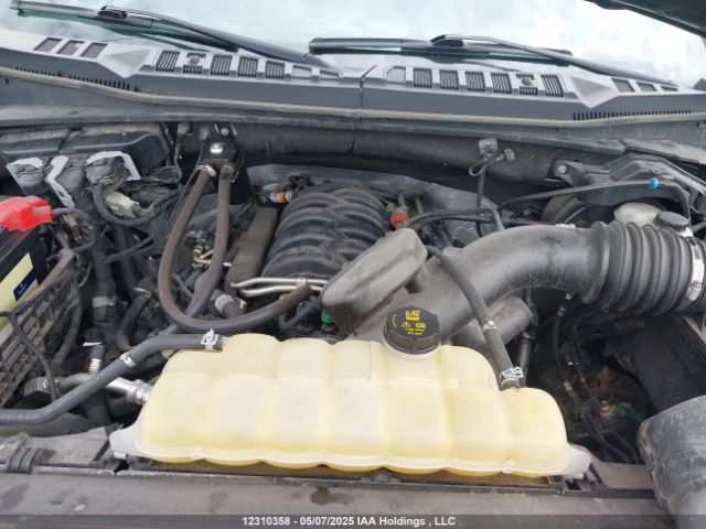 1FTEW1E59LFB24364 Ford F-150
