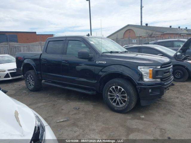 1FTEW1E59LFB24364 Ford F-150