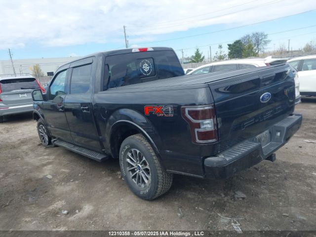 1FTEW1E59LFB24364 Ford F-150