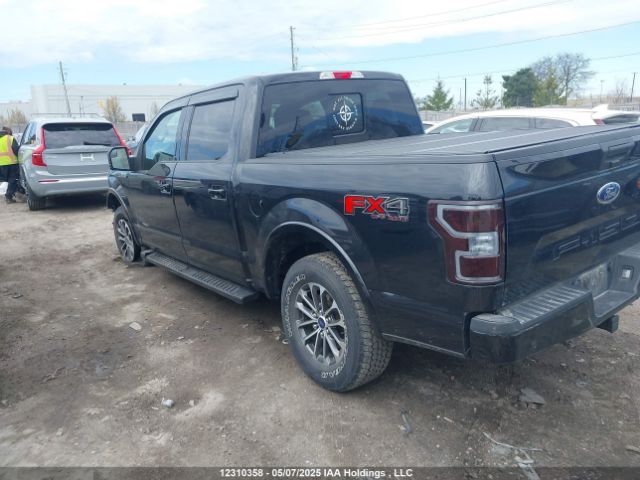 1FTEW1E59LFB24364 Ford F-150