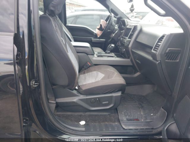 1FTEW1E59LFB24364 Ford F-150