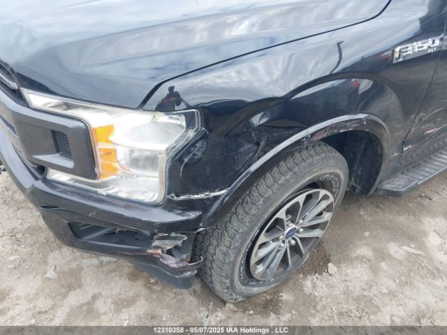 1FTEW1E59LFB24364 Ford F-150