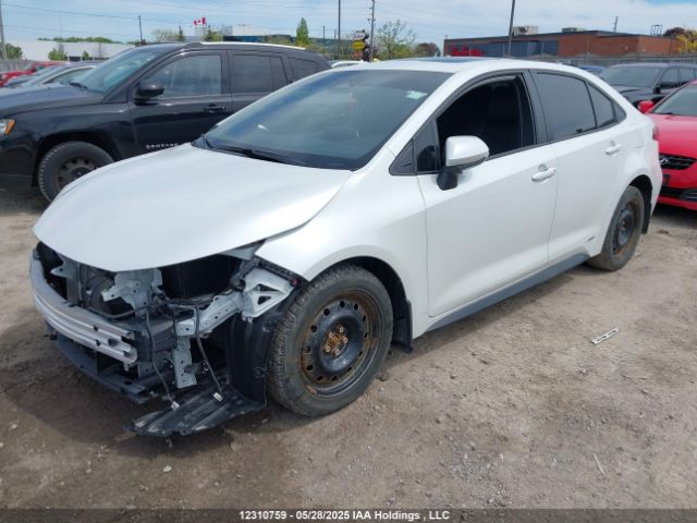 JTDBDMHE9PJ003052 Toyota Corolla Hybrid
