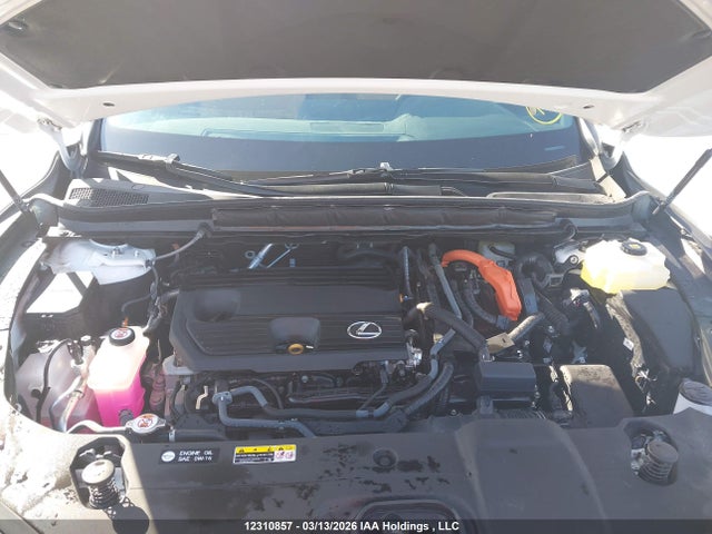 2023 Lexus Rx 350h მანქანა იყიდება აუქციონზე, vin: 2T2BBMCA6PC008985, აუქციონის ნომერი: 12310857