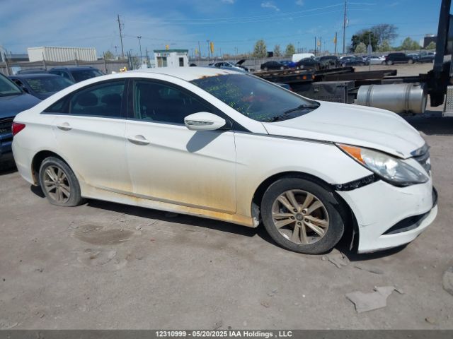 5NPEB4ACXEH867061 Hyundai SONATA GLS
