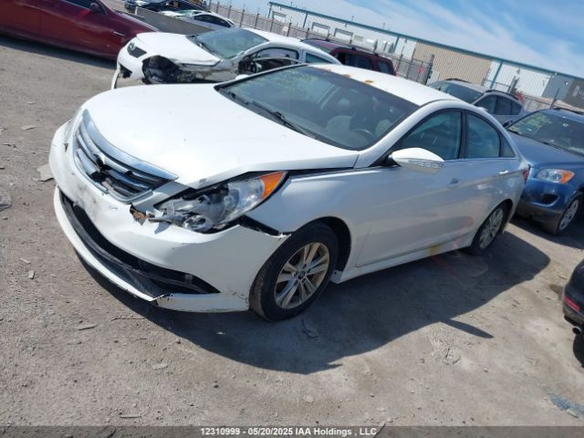5NPEB4ACXEH867061 Hyundai SONATA GLS
