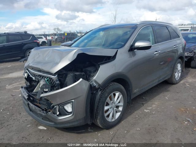 5XYPGDA39HG228224 KIA Sorento