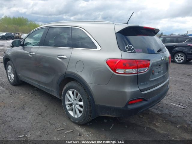 5XYPGDA39HG228224 KIA Sorento