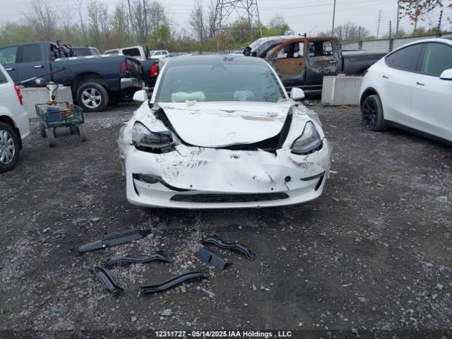 5YJ3E1EA8LF715569 Tesla MODEL 3