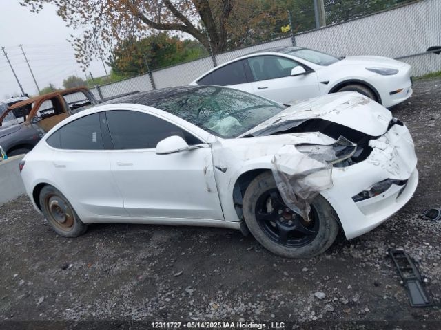 5YJ3E1EA8LF715569 Tesla MODEL 3