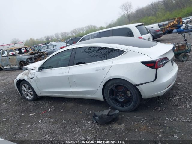 5YJ3E1EA8LF715569 Tesla MODEL 3