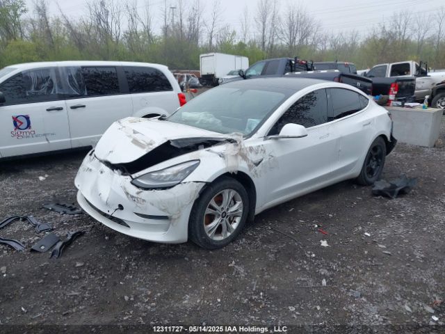 5YJ3E1EA8LF715569 Tesla MODEL 3