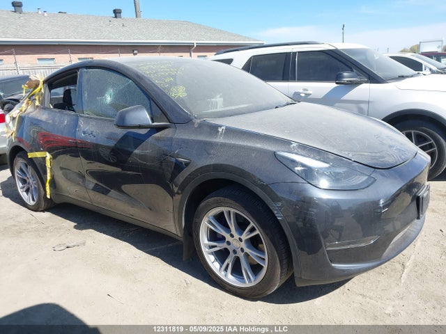 2024 Tesla Model Y მანქანა იყიდება აუქციონზე, vin: 7SAYGDED5RF092399, აუქციონის ნომერი: 12311819