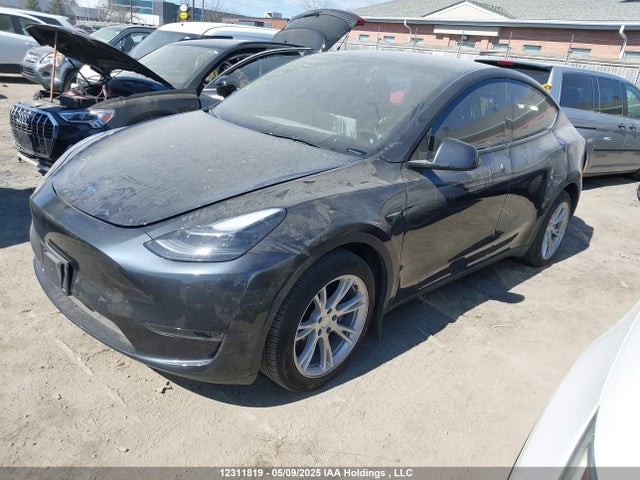 2024 Tesla Model Y მანქანა იყიდება აუქციონზე, vin: 7SAYGDED5RF092399, აუქციონის ნომერი: 12311819