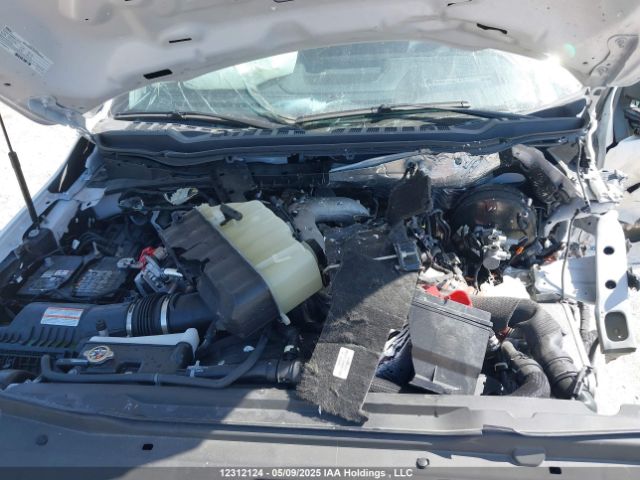 1FT8W3BM6REE52070 Ford F350 Super Duty