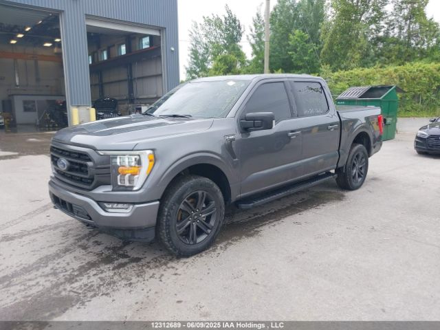 1FTEW1EP0NFA33925 Ford F-150 Xlt