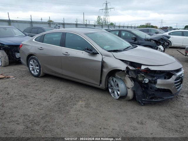 1G1ZD5STXPF181429 Chevrolet lfv