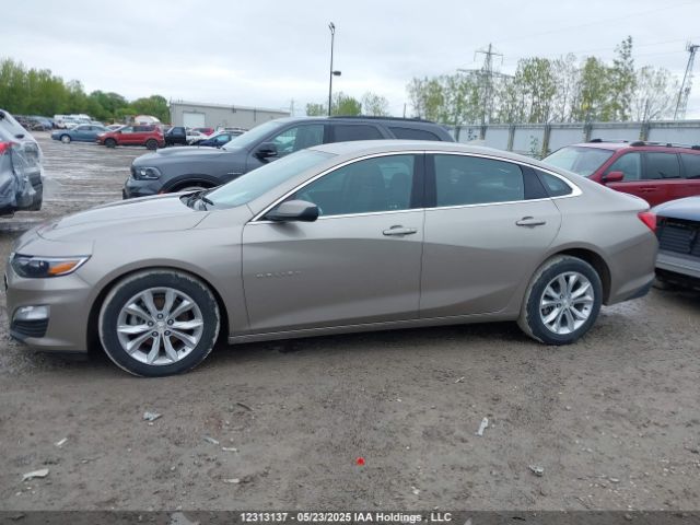1G1ZD5STXPF181429 Chevrolet lfv