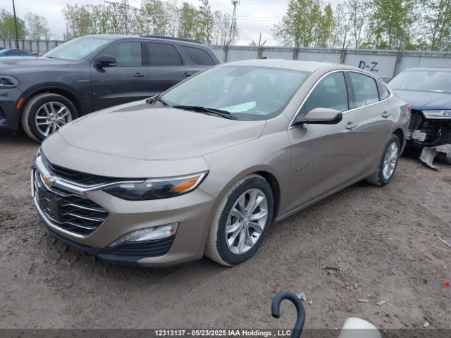 1G1ZD5STXPF181429 Chevrolet lfv