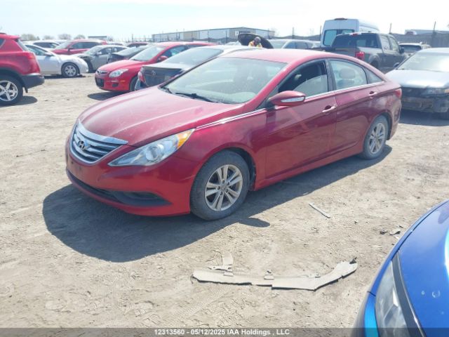 5NPEB4AC8EH868497 Hyundai gamma