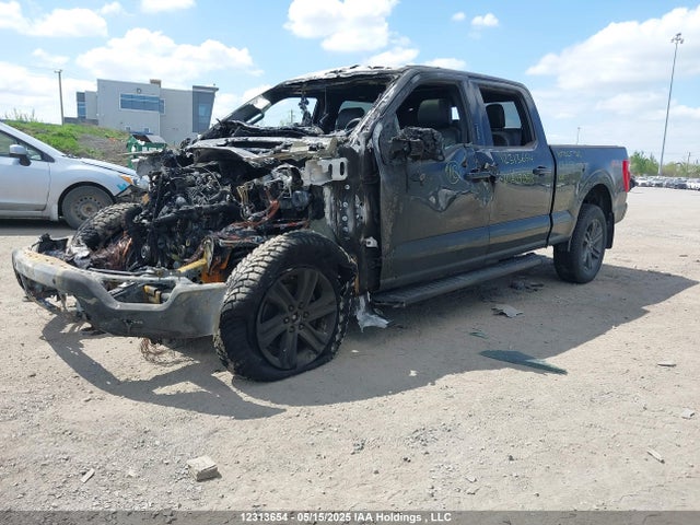 Ford gtdi 2023 1FTFW1E86PFA03053 Image 2