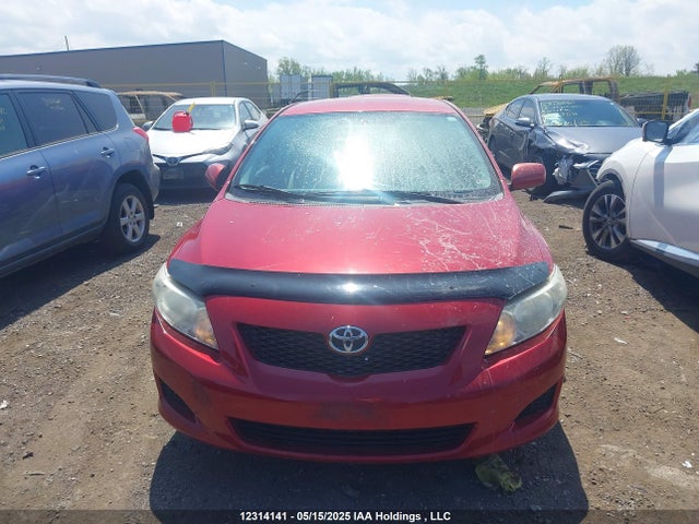 12314141 :رقم المزاد ، 2T1BU4EE4AC305422 vin ، 2010 Toyota Corolla S/le/xle مزاد بيع