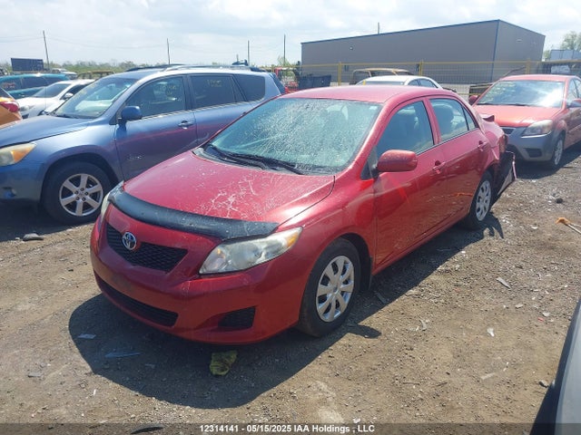 12314141 :رقم المزاد ، 2T1BU4EE4AC305422 vin ، 2010 Toyota Corolla S/le/xle مزاد بيع
