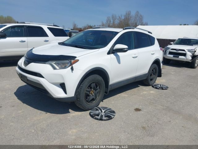 2T3ZFREVXHW344019 Toyota RAV4 LE