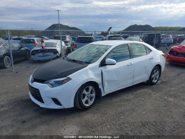 2T1BURHE2GC666844 Toyota 2zr-fe