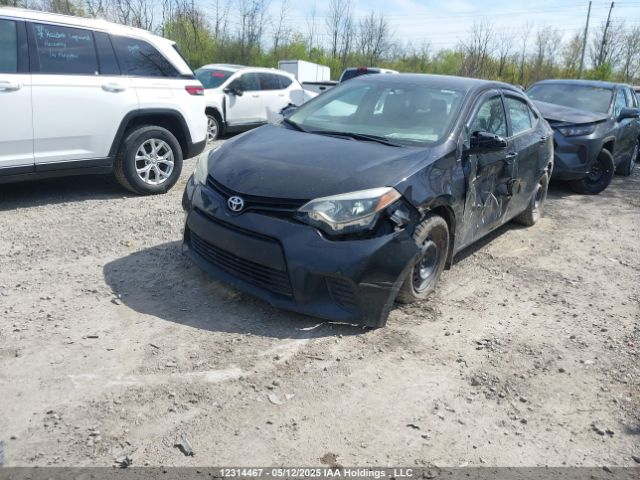 2T1BURHEXEC133203 Toyota 2zr-fe