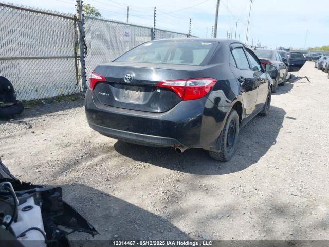 2T1BURHEXEC133203 Toyota 2zr-fe