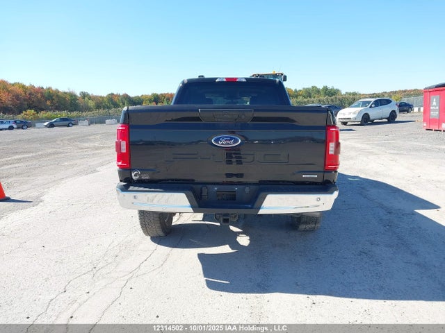 Продаж на аукціоні авто 2023 Ford F150 Supercrew, vin: 1FTFW1E83PKF23248, номер лоту: 12314502