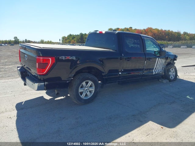 Продаж на аукціоні авто 2023 Ford F150 Supercrew, vin: 1FTFW1E83PKF23248, номер лоту: 12314502