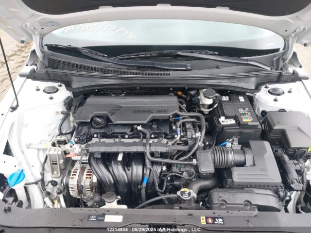 KMHLN4DG3RU706667 Hyundai Elantra Luxury