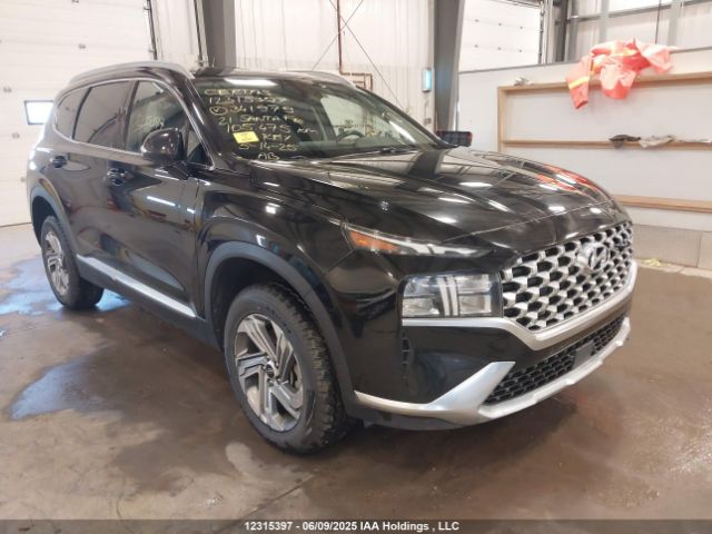 Auction sale of the 2021 Hyundai Santa Fe Sel, vin: 5NMS3DAJ7MH341979, lot number: 12315397