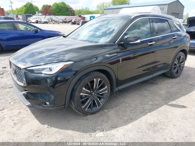 3PCAJ5BB3MF126079 Infiniti 2021