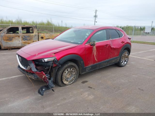 3MVDMBCL5MM244073 Mazda Cx-30 Gs