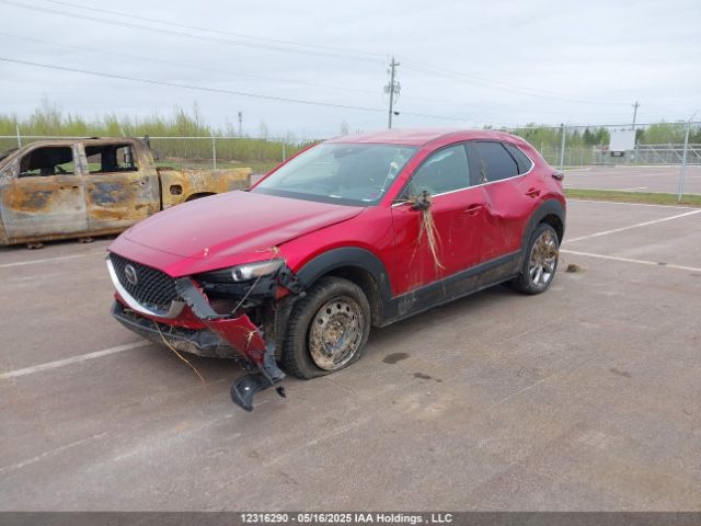 3MVDMBCL5MM244073 Mazda Cx-30 Gs
