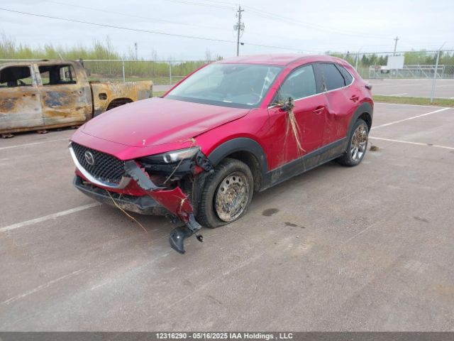 3MVDMBCL5MM244073 Mazda Cx-30 Gs