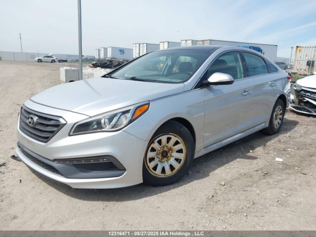 5NPE34AF9FH234799 Hyundai Sonata Sport/limited