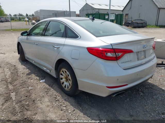 5NPE34AF9FH234799 Hyundai Sonata Sport/limited