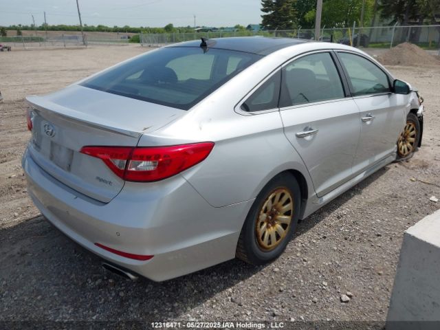 5NPE34AF9FH234799 Hyundai Sonata Sport/limited