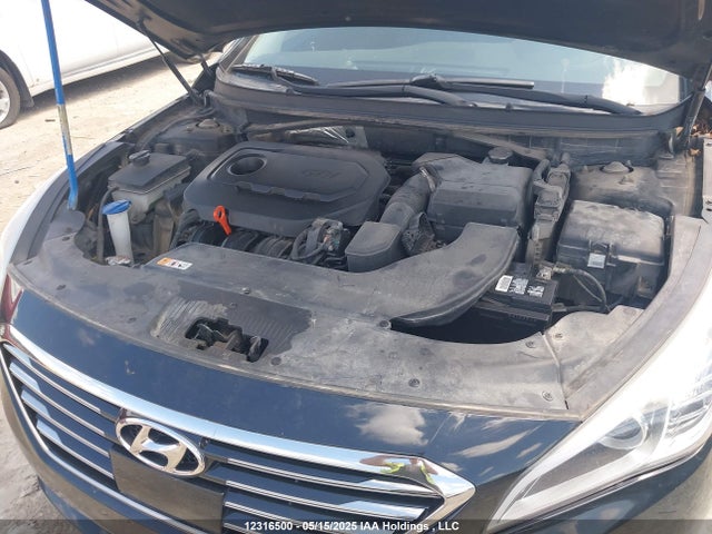 5NPE34AF5FH019601 Hyundai Sonata Sport/limited