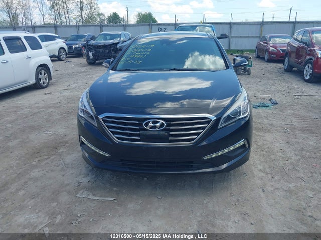 5NPE34AF5FH019601 Hyundai Sonata Sport/limited
