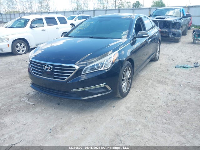 5NPE34AF5FH019601 Hyundai Sonata Sport/limited