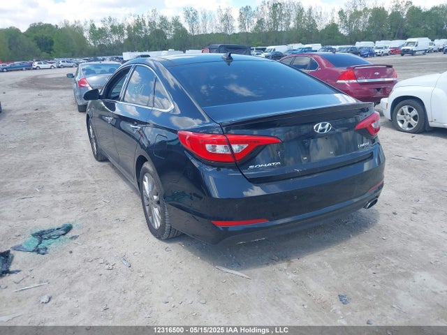 5NPE34AF5FH019601 Hyundai Sonata Sport/limited