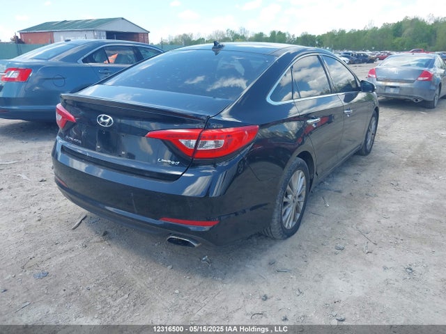 5NPE34AF5FH019601 Hyundai Sonata Sport/limited