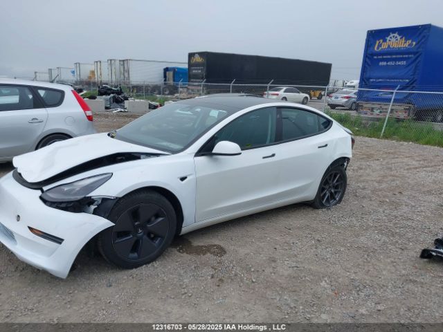 LRW3E1FA9PC876303 Tesla MODEL 3