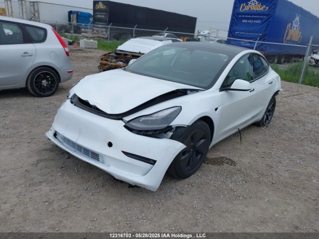 LRW3E1FA9PC876303 Tesla MODEL 3